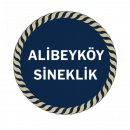 alibeyköy sineklik