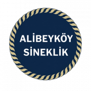 alibeyköy sineklik