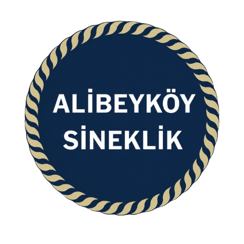 alibeyköy sineklik